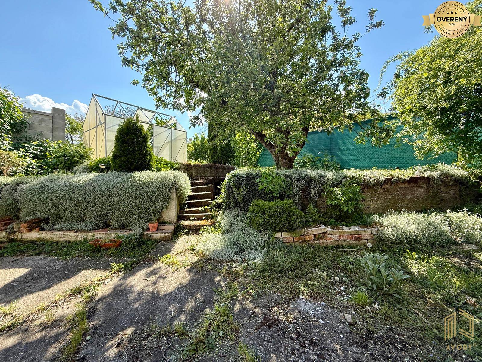 záhrada