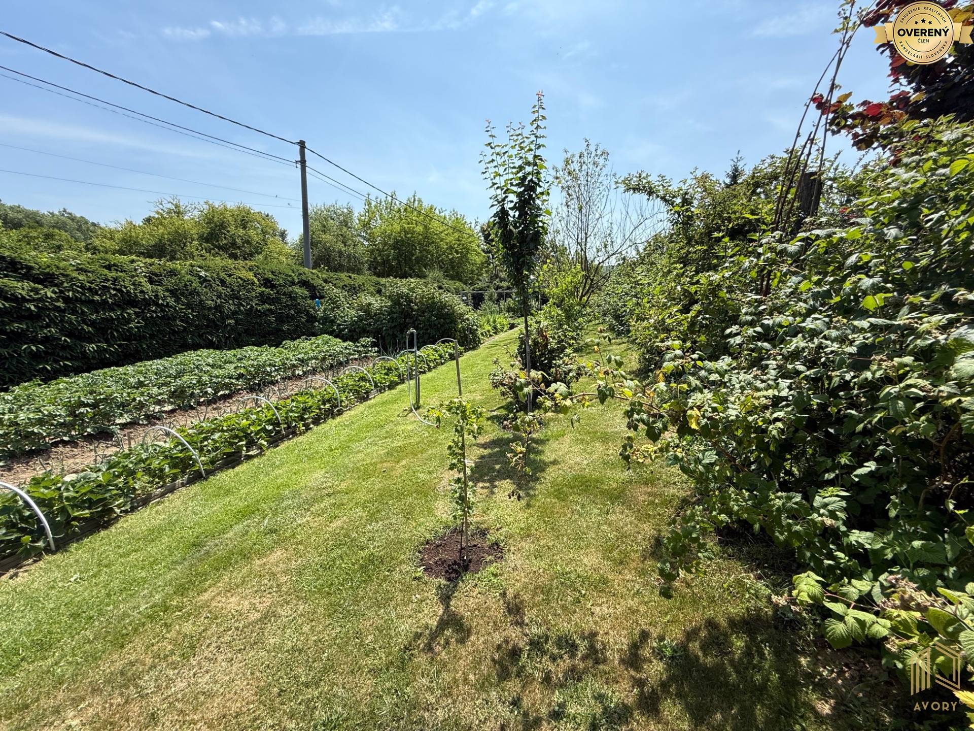 úžitková záhrada