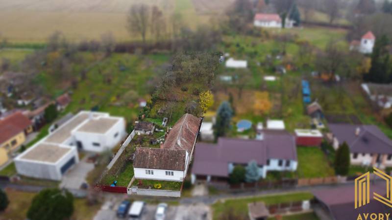 WhatsApp Image 2025-11-14 at 13.34.54.jpeg